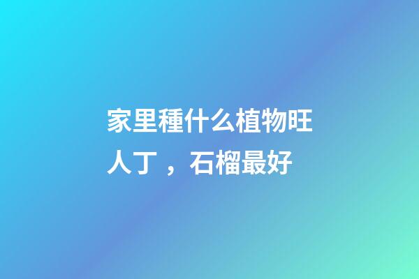 家里種什么植物旺人丁，石榴最好